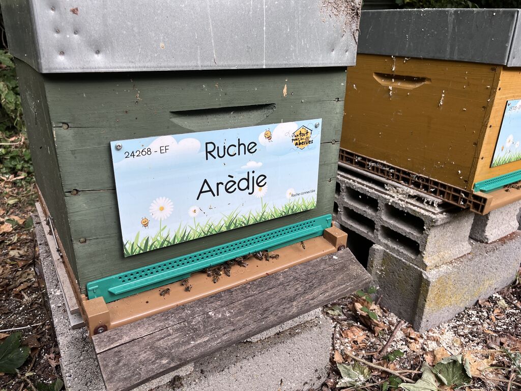 La ruche Arèdje