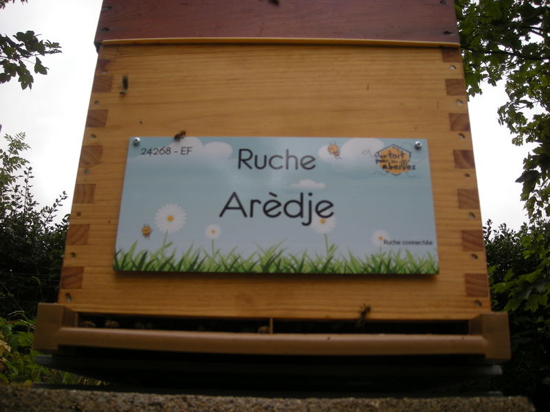 La ruche Arèdje