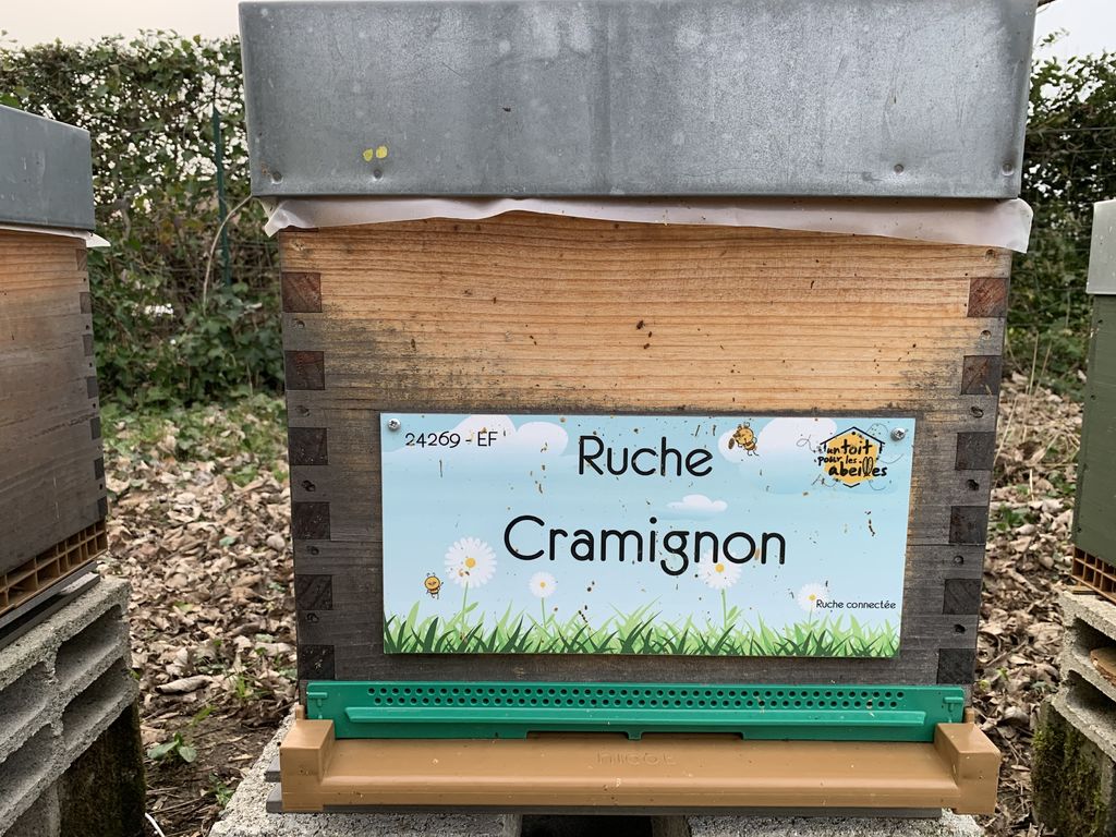 La ruche Cramignon