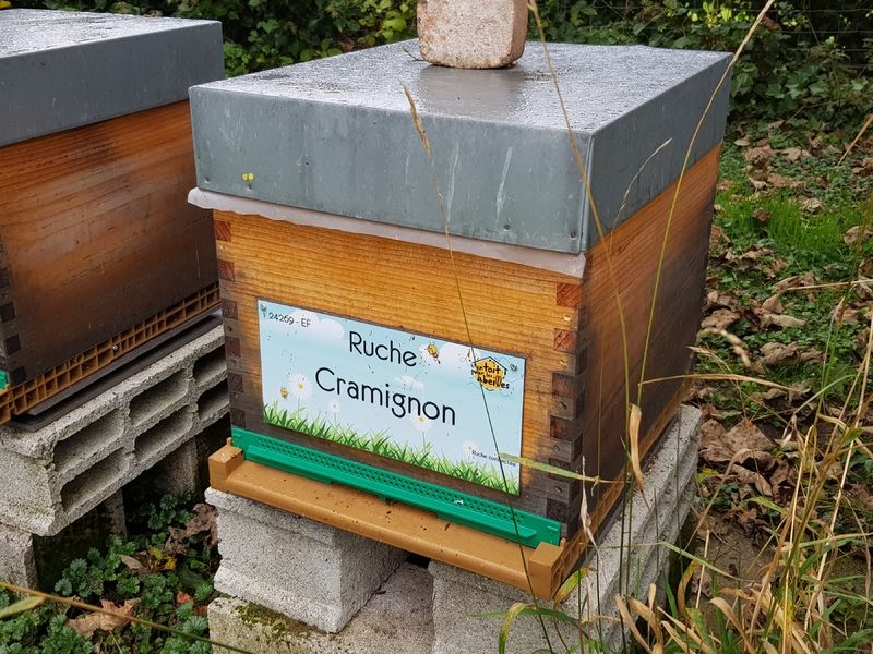 La ruche Cramignon