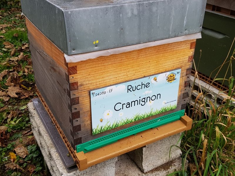 La ruche Cramignon