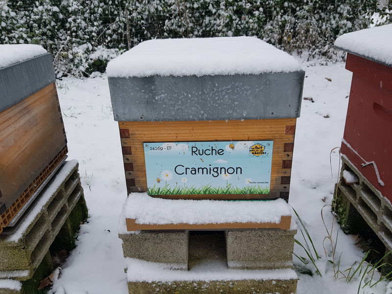 La ruche Cramignon