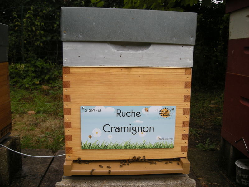 La ruche Cramignon