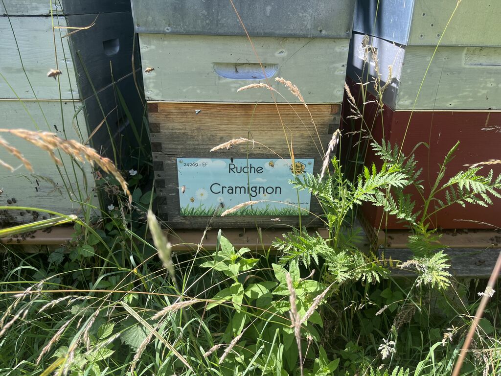 La ruche Cramignon