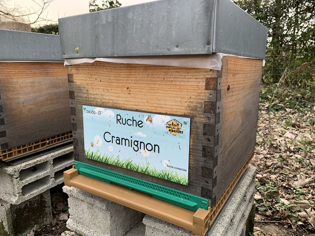 La ruche Cramignon