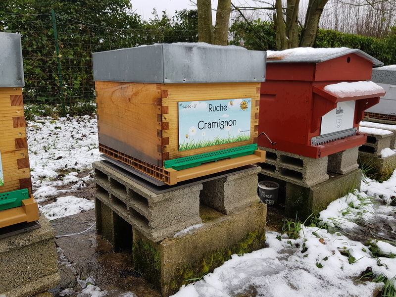 La ruche Cramignon