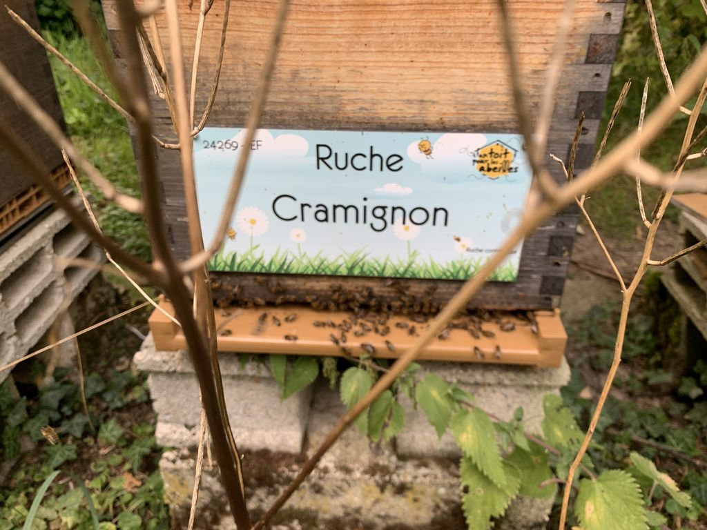 La ruche Cramignon