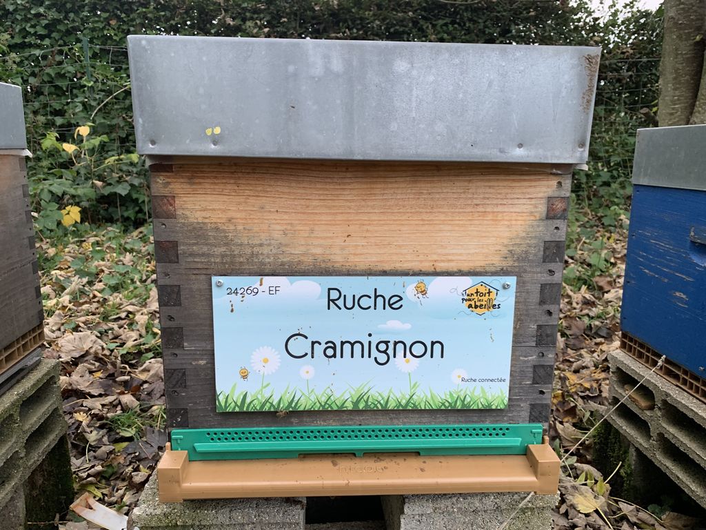 La ruche Cramignon