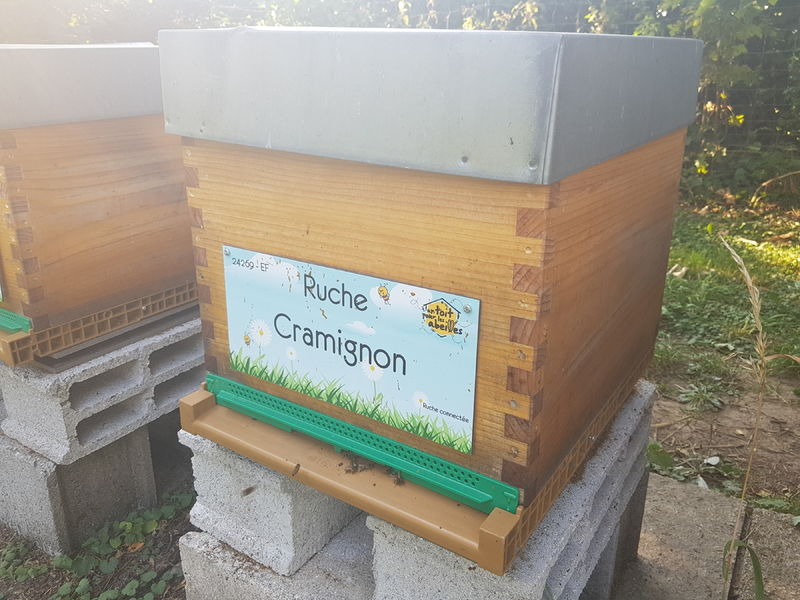 La ruche Cramignon