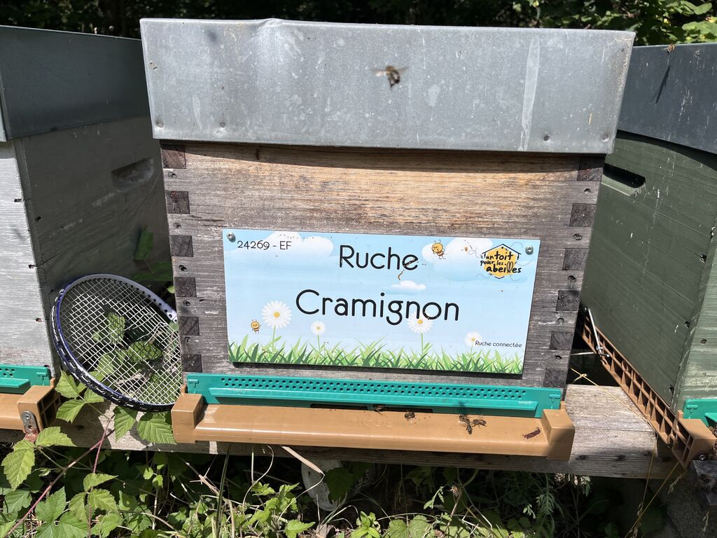 La ruche Cramignon