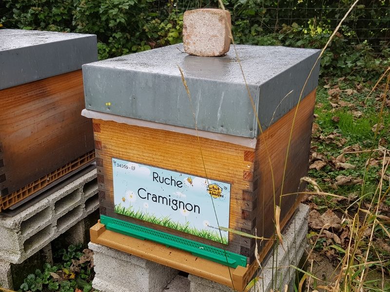 La ruche Cramignon