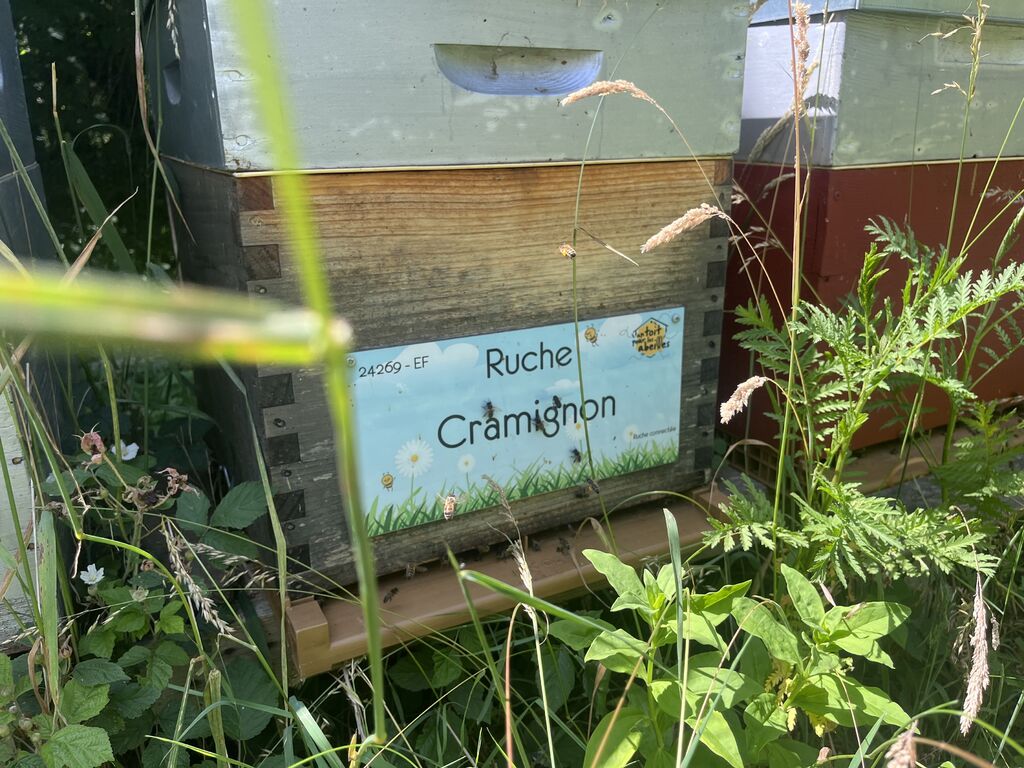 La ruche Cramignon