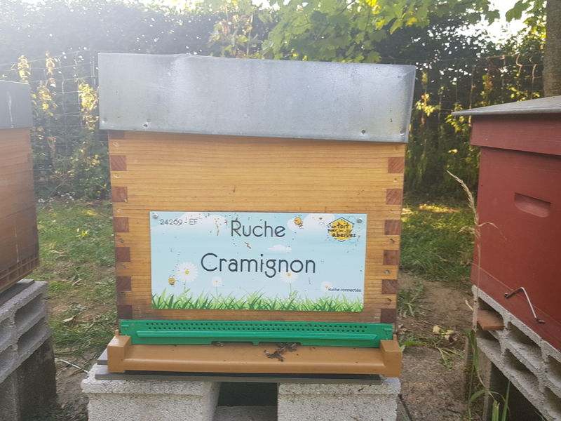 La ruche Cramignon
