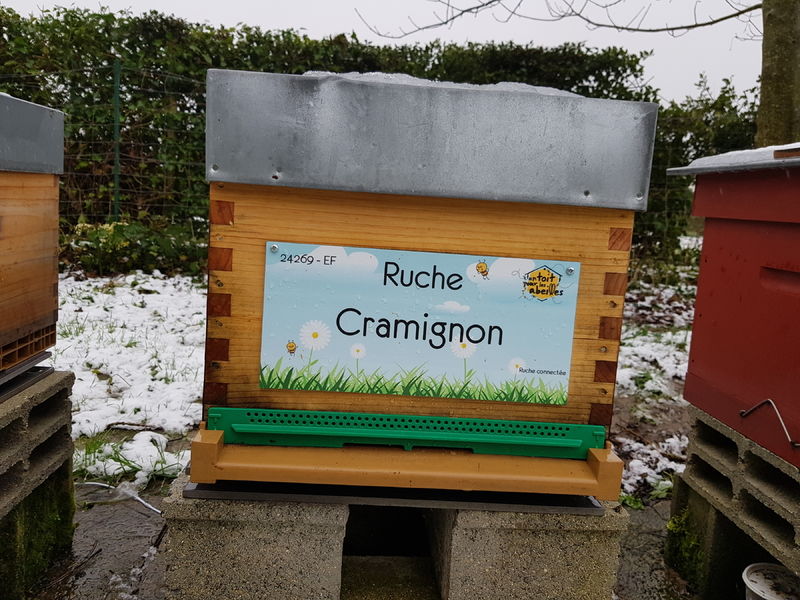 La ruche Cramignon