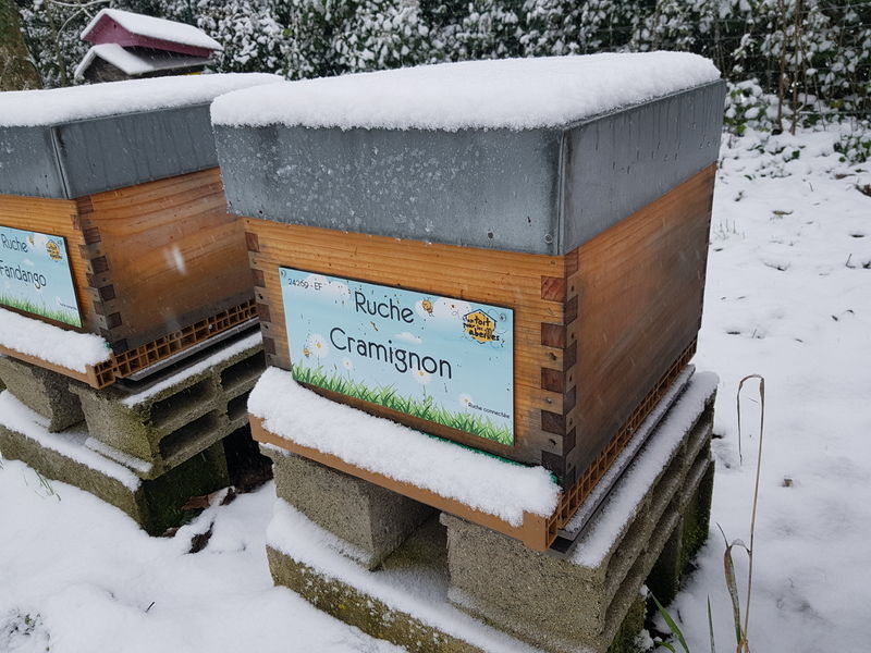 La ruche Cramignon