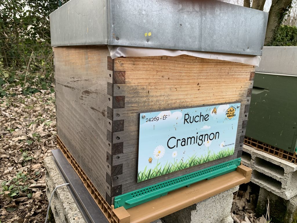 La ruche Cramignon