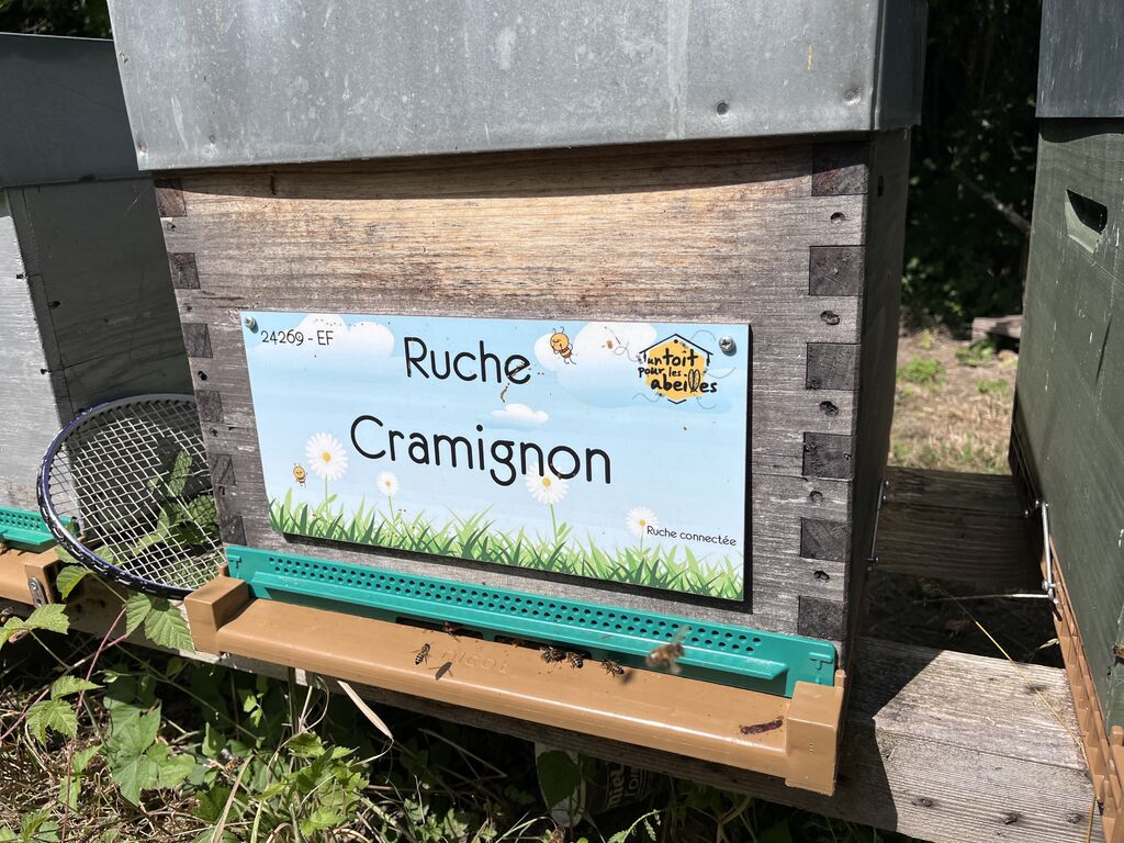 La ruche Cramignon