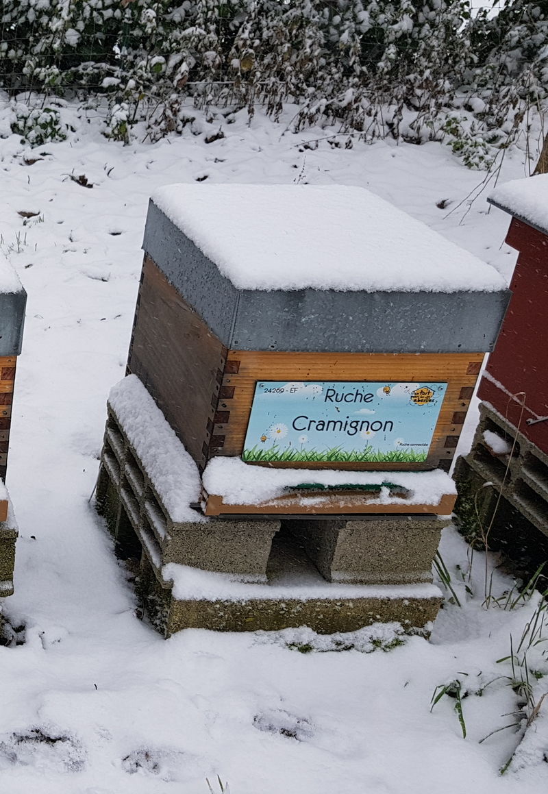 La ruche Cramignon