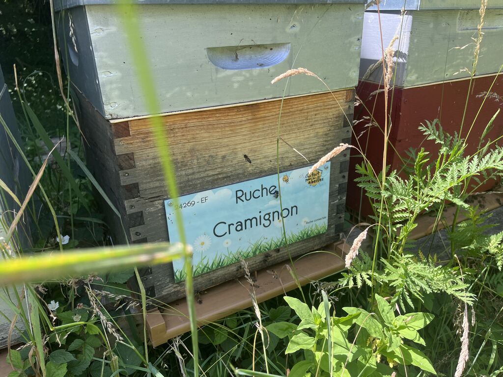 La ruche Cramignon