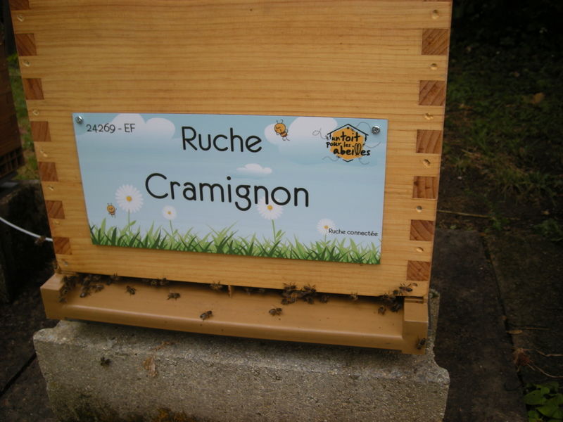 La ruche Cramignon