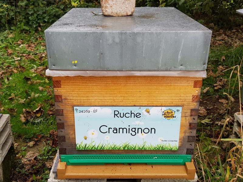 La ruche Cramignon