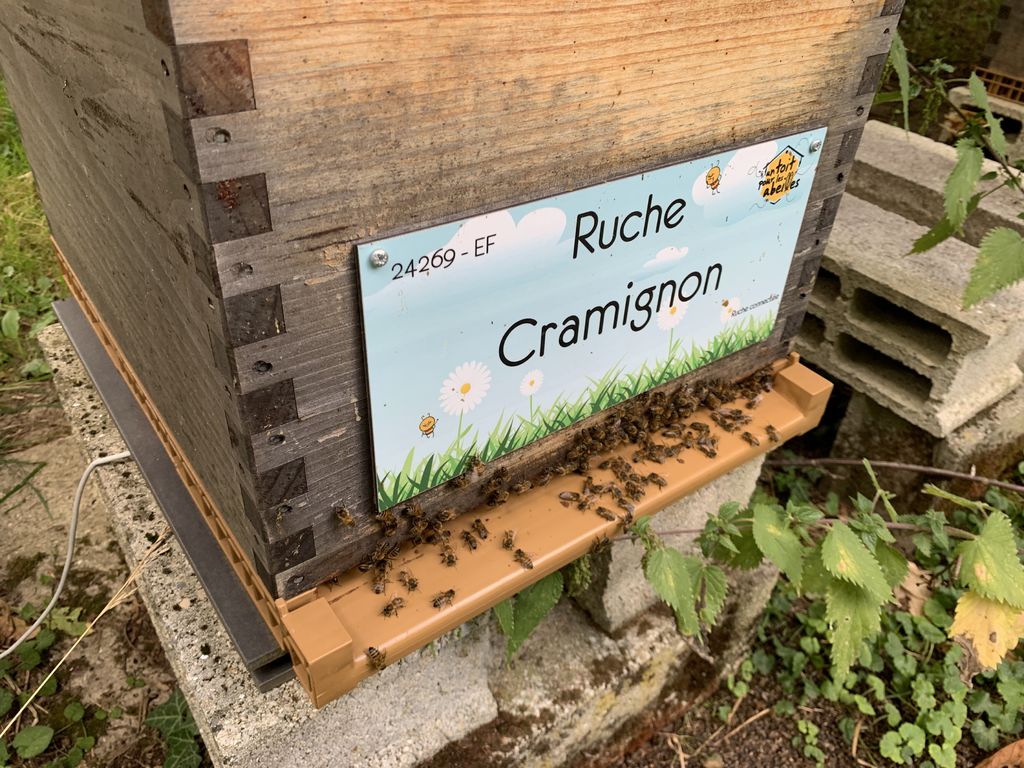 La ruche Cramignon