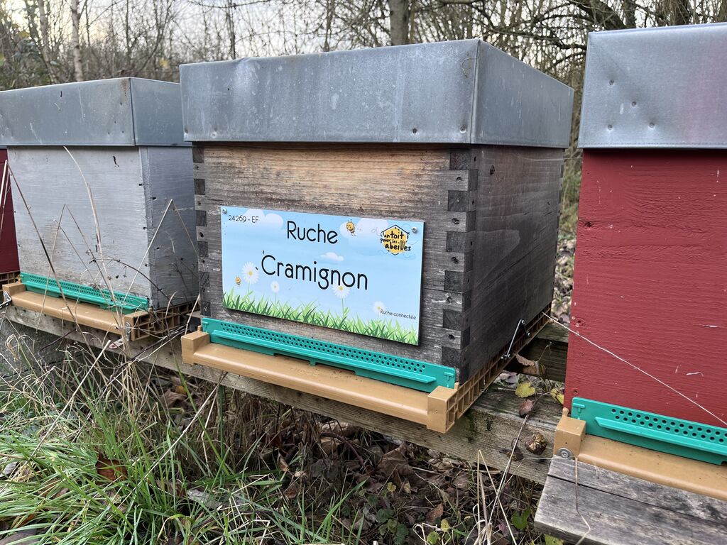 La ruche Cramignon