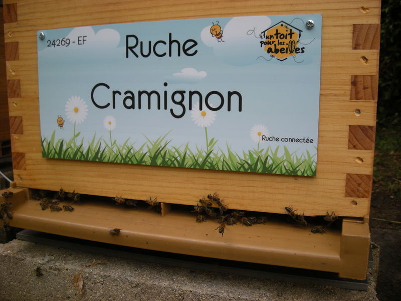 La ruche