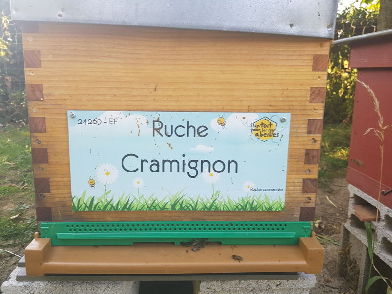 La ruche Cramignon