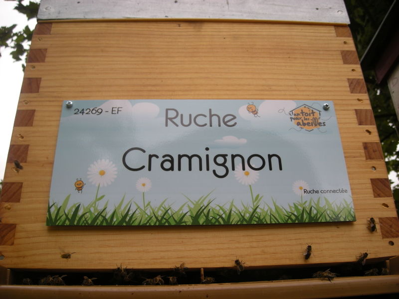 La ruche Cramignon