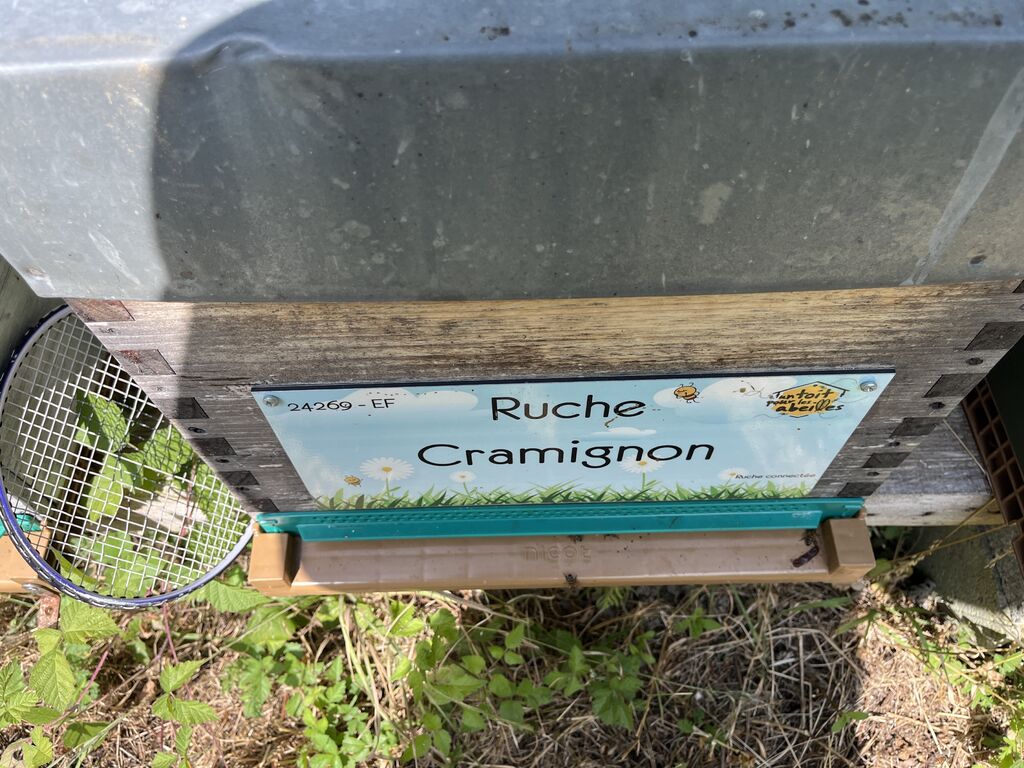 La ruche Cramignon