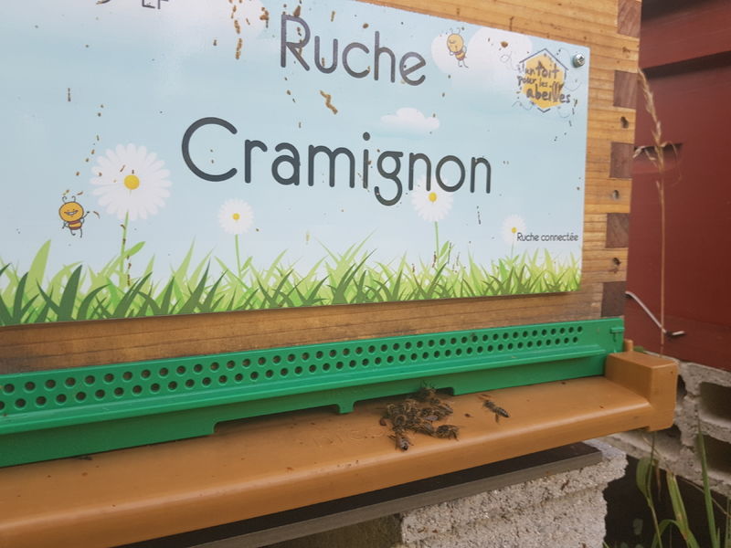 La ruche Cramignon