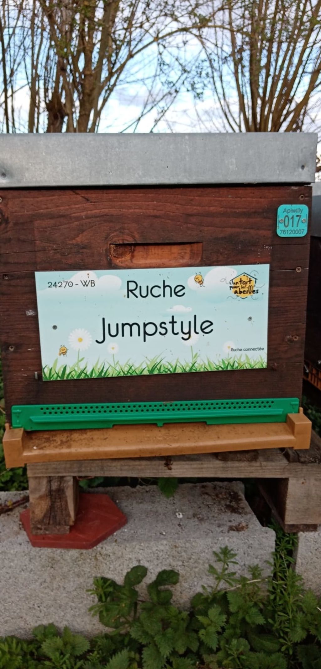 La ruche Jumpstyle