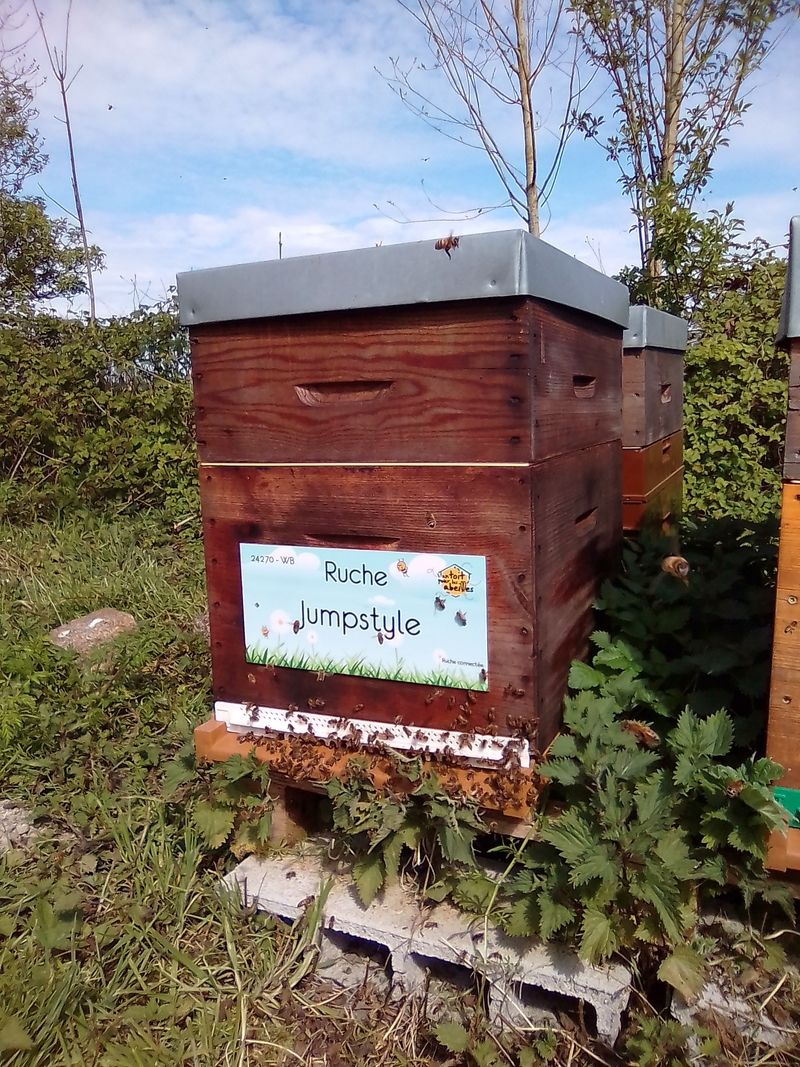 La ruche Jumpstyle