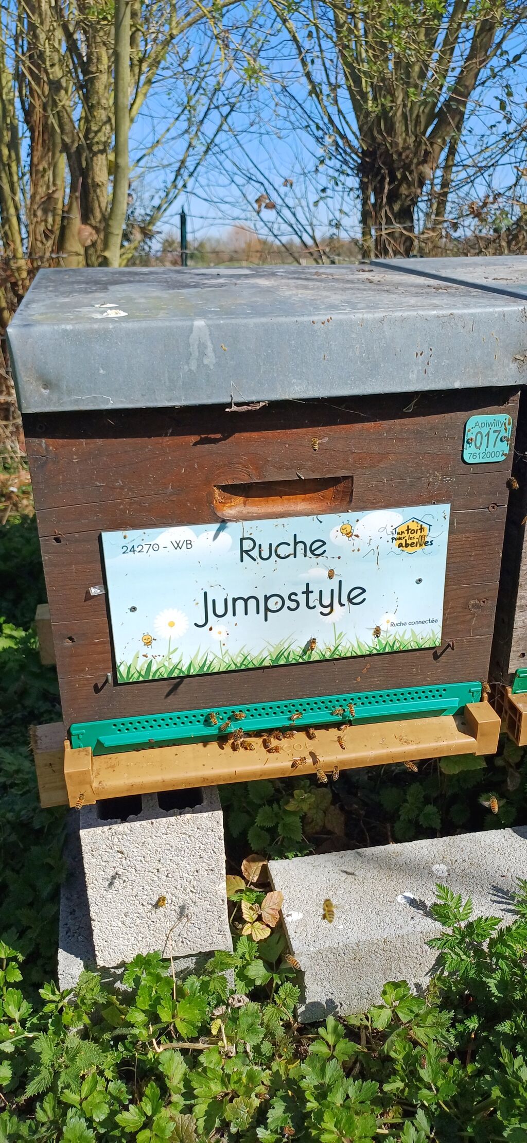 La ruche Jumpstyle