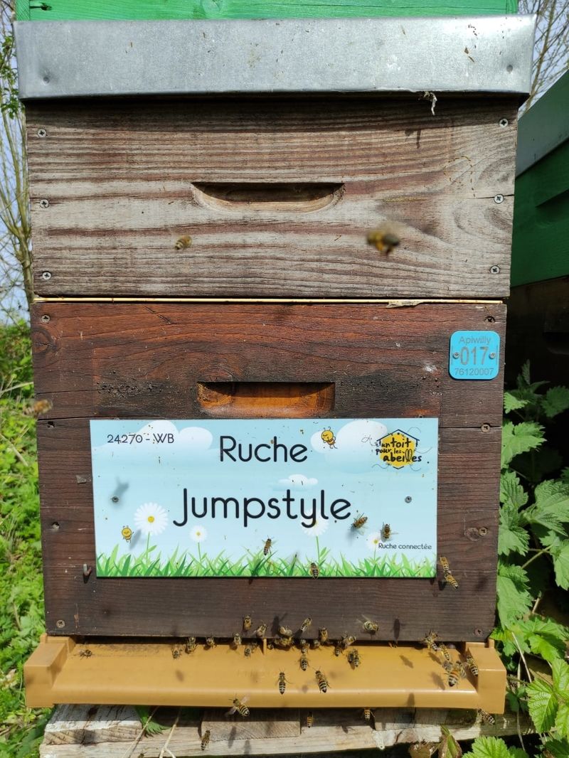La ruche Jumpstyle