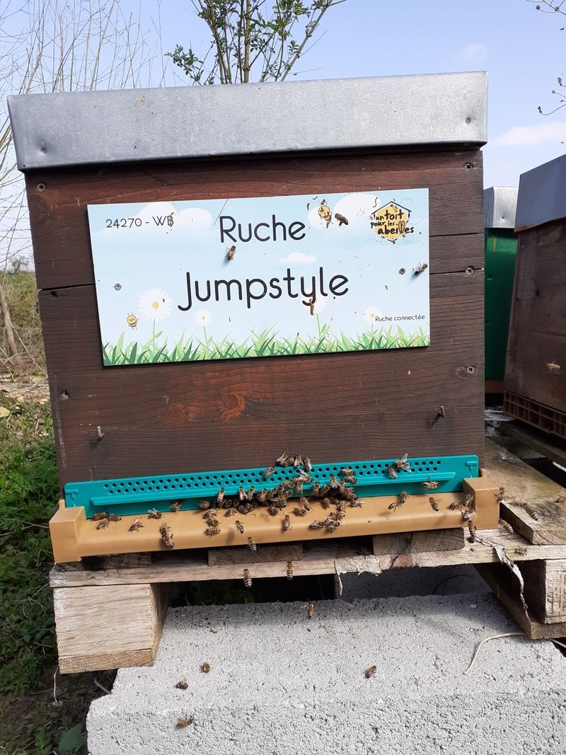 La ruche