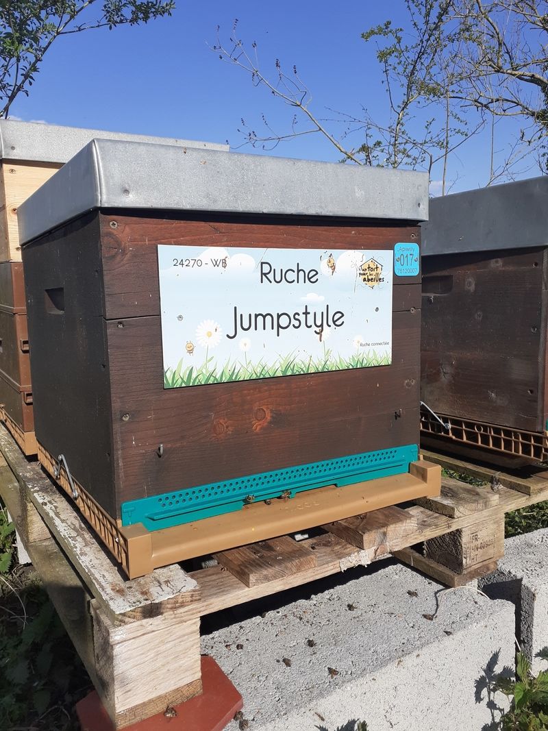 La ruche Jumpstyle