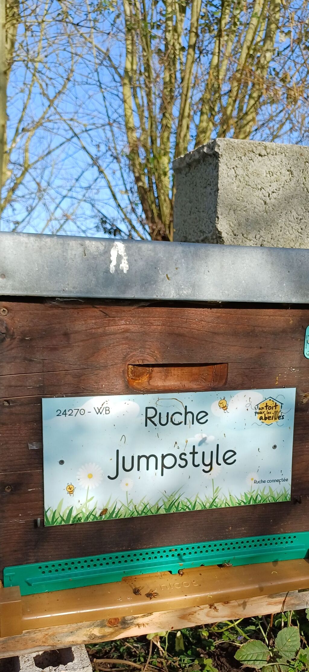 La ruche Jumpstyle