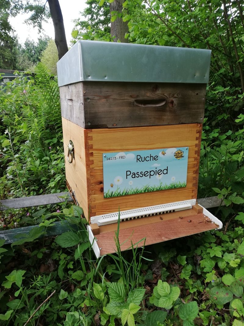 La ruche Passepied