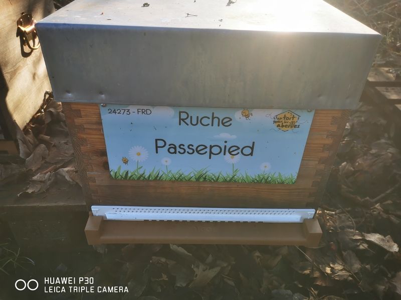 La ruche Passepied
