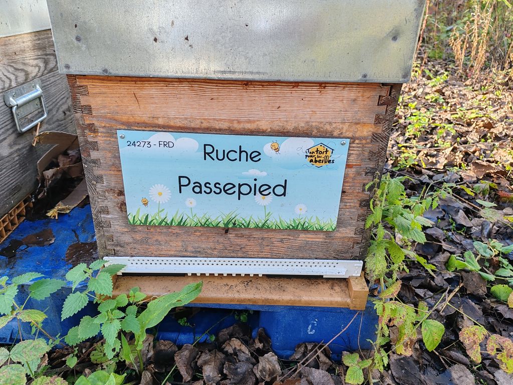 La ruche Passepied