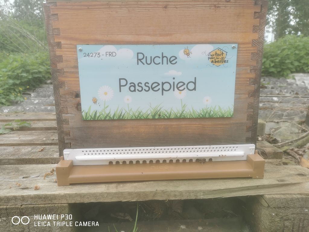 La ruche Passepied