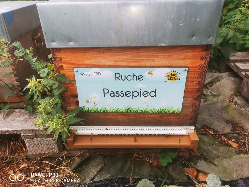 La ruche Passepied