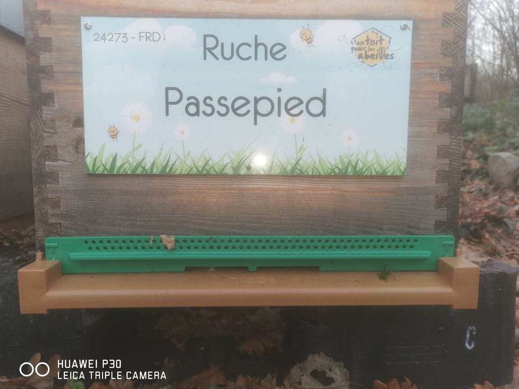 La ruche Passepied
