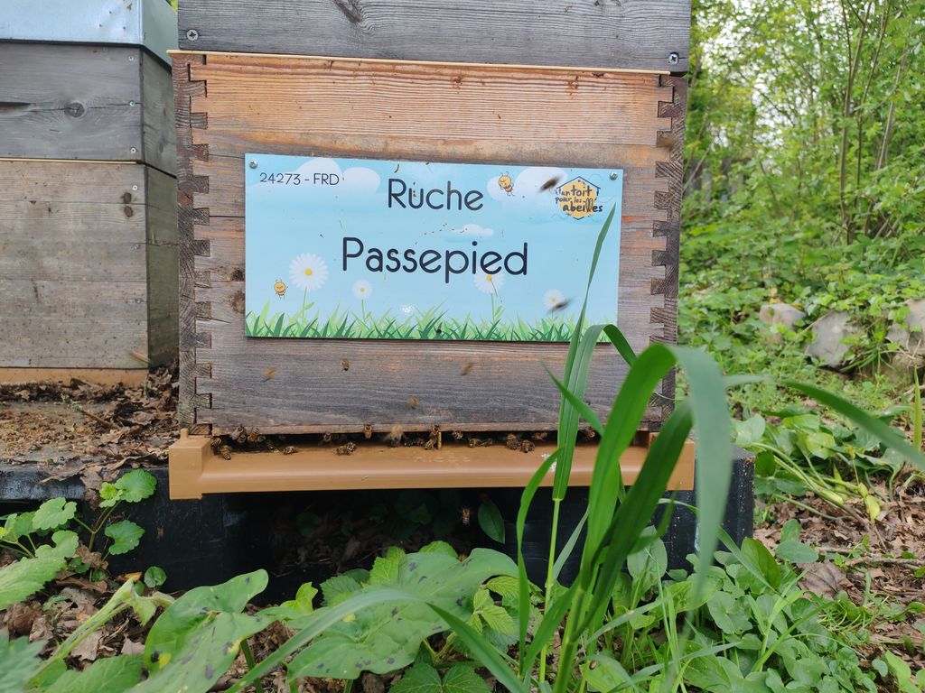 La ruche Passepied