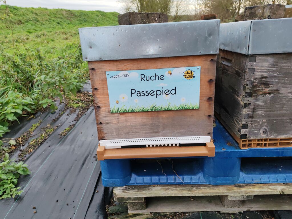 La ruche Passepied