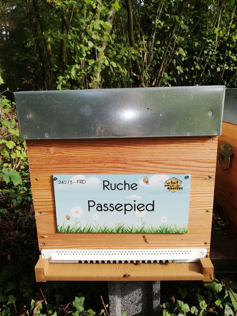 La ruche