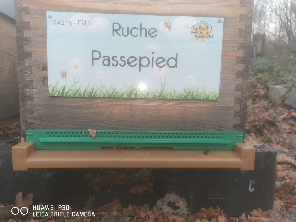 La ruche Passepied