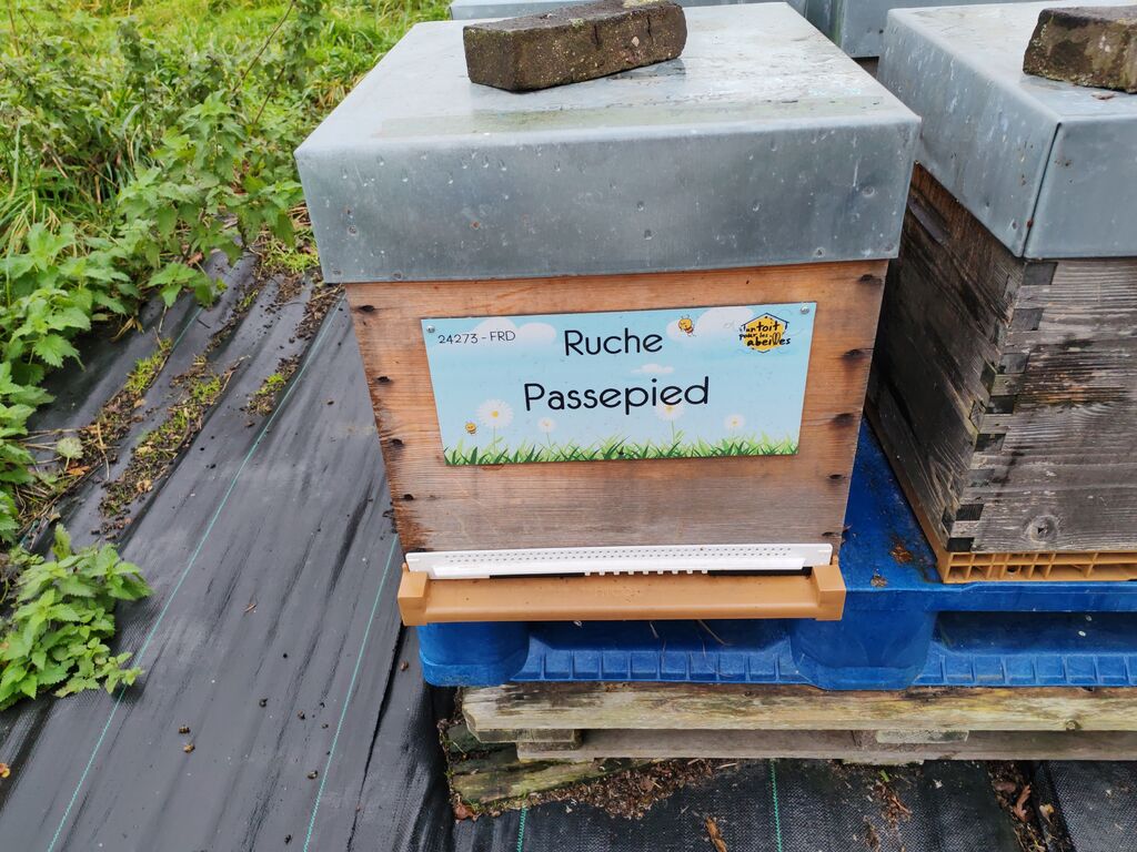 La ruche Passepied